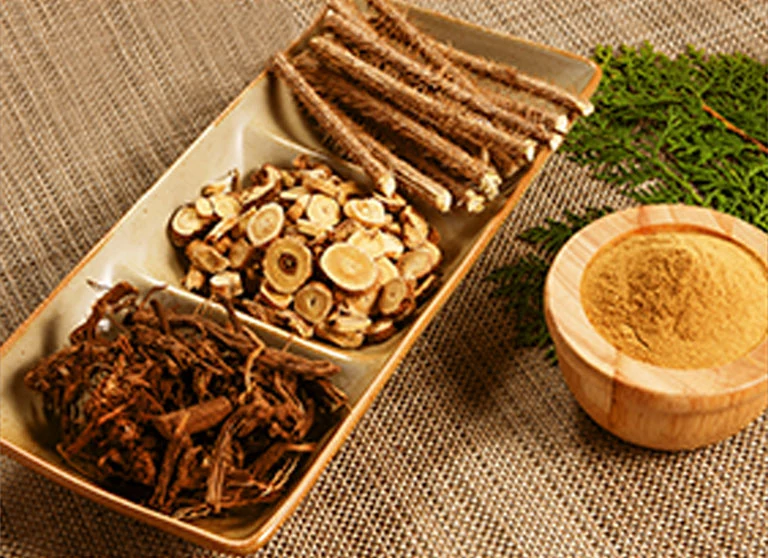 宣传资料中的草药原料示意